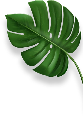 Green Leaf